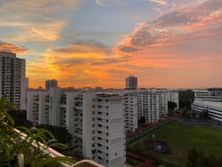 Blk 550 Ang Mo Kio Avenue 10 (Ang Mo Kio), HDB 3 Rooms #610146651
